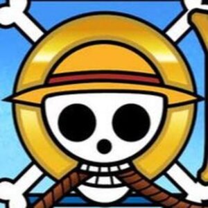 One Piece Fans