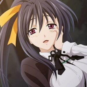 Passion.log Transfer