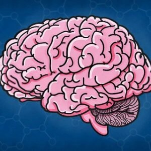 Proxy World News 👀🧠🌈