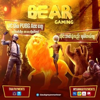 pubgmyanmarbear