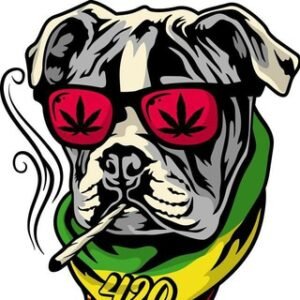 Puffydogcoin V2 #puffylounge