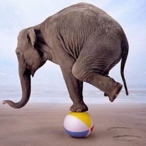 📢 Load & Performance