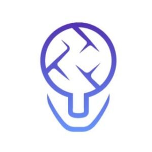 It Remote Jobs – Hidden Gurus