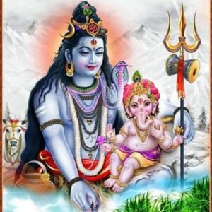 Satta king daily number