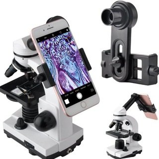 sheybaarayashasomaliyeed