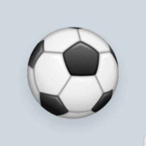 Fixed Matches