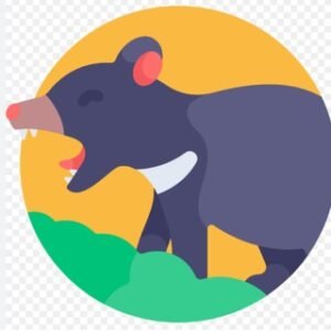 😃🇦🇺Tasmania Australia Freedom Fighters