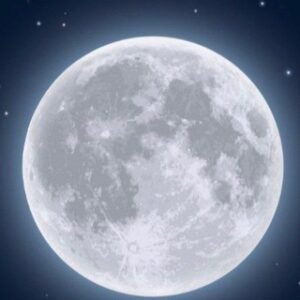 To Moon Official