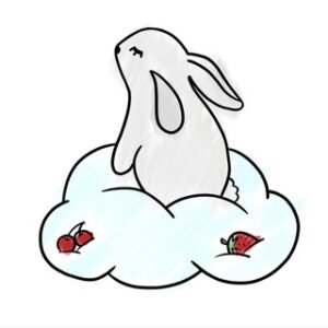 tokkiranghae updates