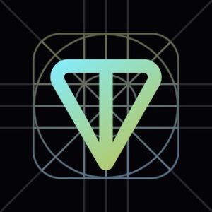 TON Dev Chat (中文)