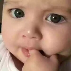 Tools by KNIGHT ♥️