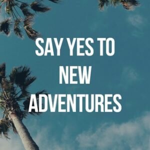 Daily Quotes