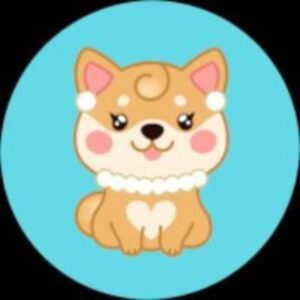 Mommy Doge Coin Turkiye