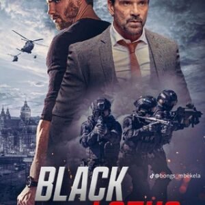 Films Et Series De Guerres