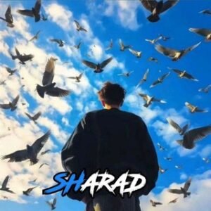 𝗪𝗦 𝗪𝗢𝗥𝗞 𝗕𝗬 𝗦𝗛𝗔𝗥𝗔𝗗