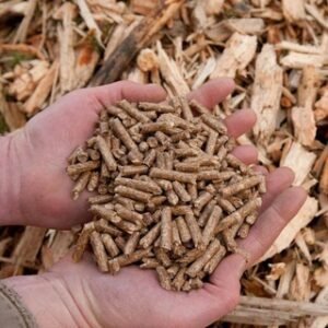 Wood Pelletss