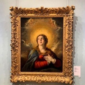 𝙕𝘼𝙈𝘼𝙄🇵🇰